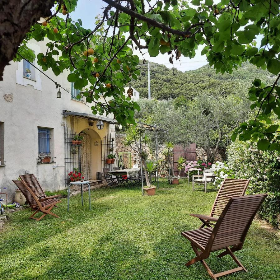 Casa Olivia Lacrema Finale Ligure Kültér fotó