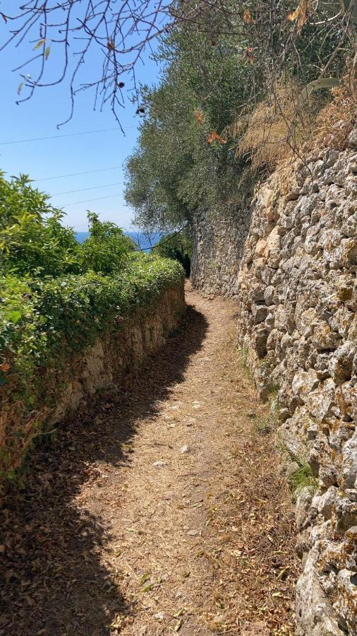 Casa Olivia Lacrema Finale Ligure Kültér fotó