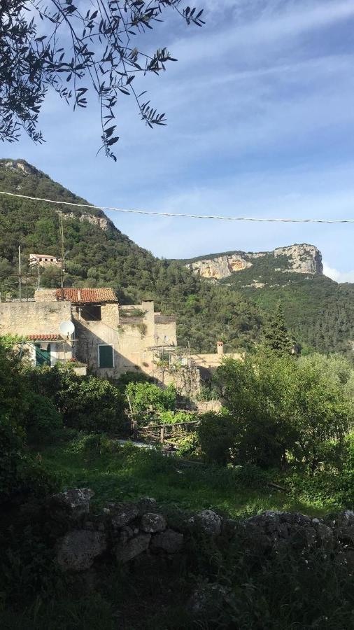 Casa Olivia Lacrema Finale Ligure Kültér fotó